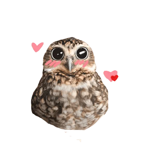 Sticker @wisdom_droplets B Birds — @stckrRobot - 8