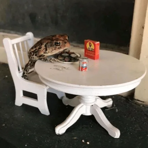 furniture table animal