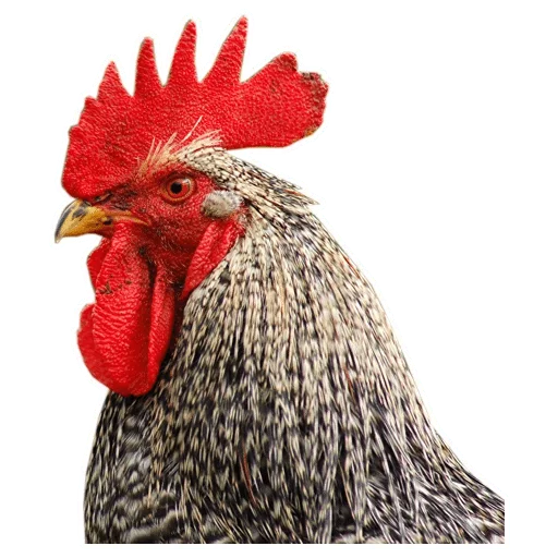 Sticker pavlenty_mega_pack — @stckrRobot - 11