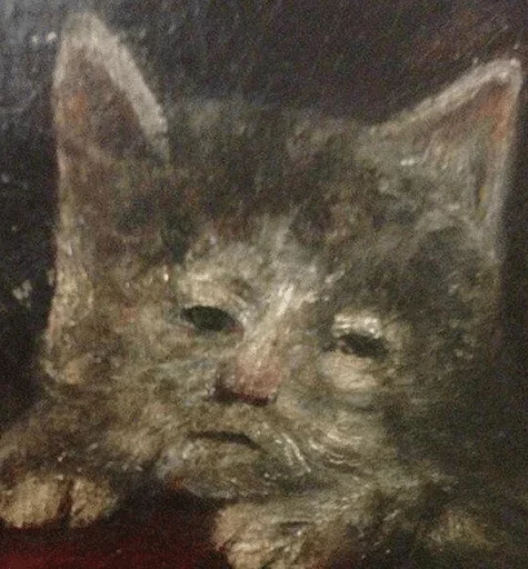 млекопитающее животное усы