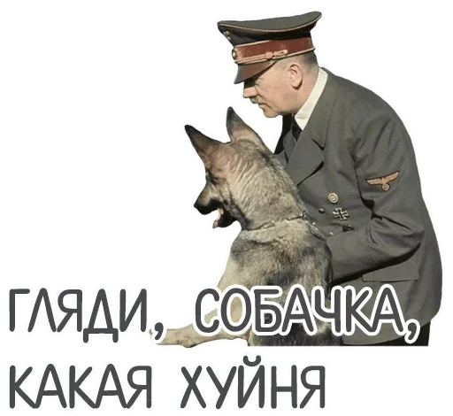 СМС животное млекопитающее