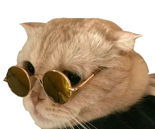 Favourites — @stckrRobot - 