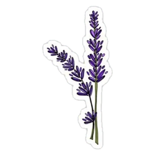 Стикер Aesthetic — @stckrRobot - 11