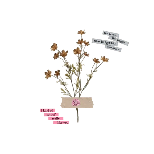 Стикер Aesthetic — @stckrRobot - 7