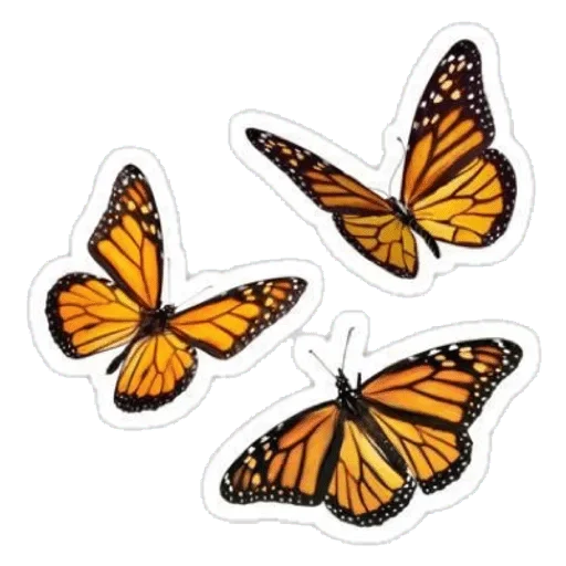 Стикер Aesthetic — @stckrRobot - 2