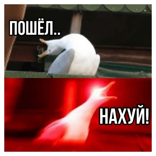 СМС животное скриншот