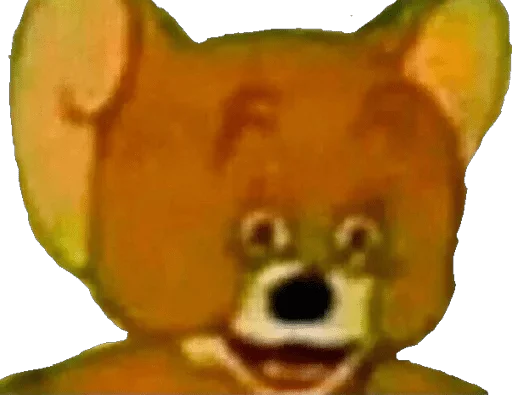 орхидея растение цветок