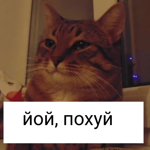 mine — @stckrRobot - 