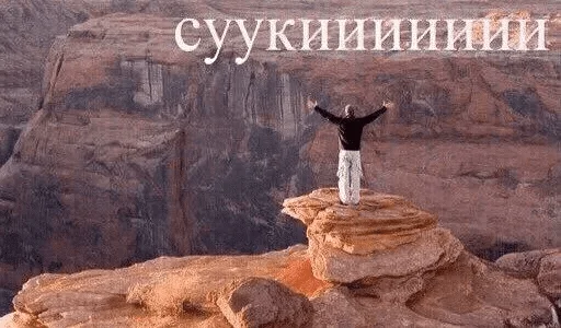 b e s t — @stckrRobot - животное