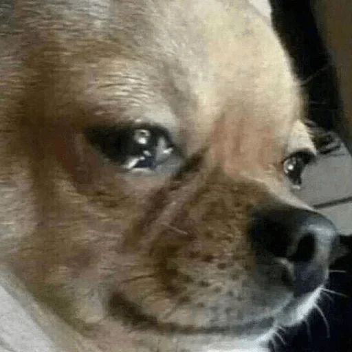 Стикер Best sticks — @stckrRobot - 8