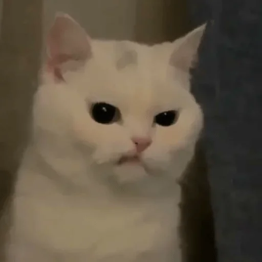 Стикер ByMeladze — @stckrRobot - 11