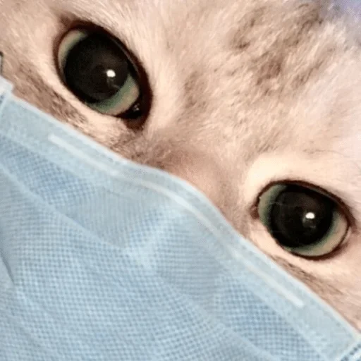 Стикер ByMeladze — @stckrRobot - 0