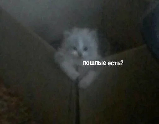 Стикер Sukarab — @stckrRobot - 4