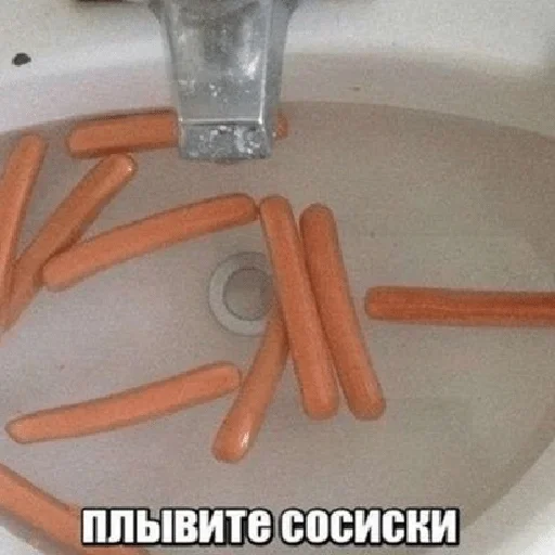 комнатный морковный кнут морковь