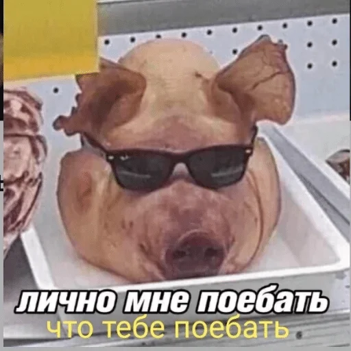 Стикер Pizdos      By: @Ethermaty — @stckrRobot - 6