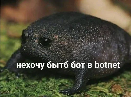 Стикер @Mark_a'ss stiks — @stckrRobot - 9