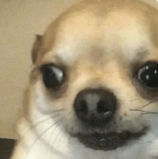 Стикер @Mark_a'ss stiks — @stckrRobot - 4