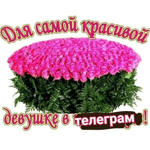 Sticker владоские — @stckrRobot - 0