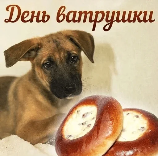 Стикер Sobaka666 — @stckrRobot - 7