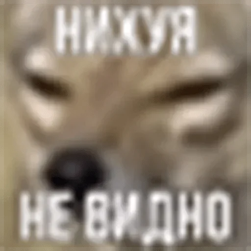 Стикер Sobaka666 — @stckrRobot - 4