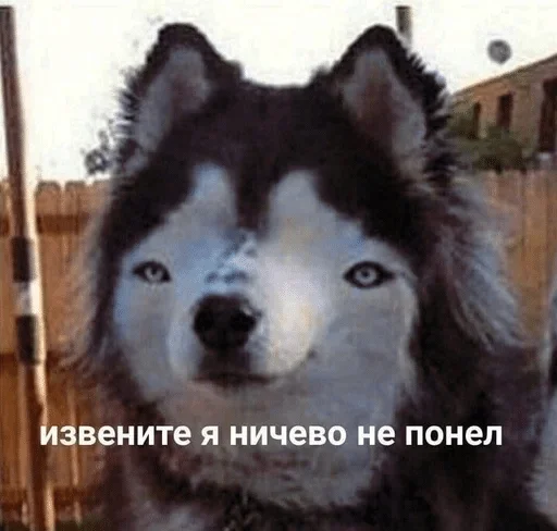 Стикер Sobaka666 — @stckrRobot - 3