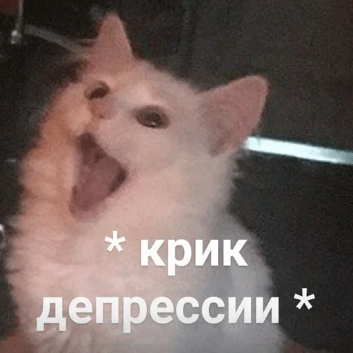 Стикер Зверьё — @stckrRobot - 9
