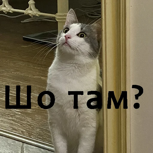 Стикер Зверьё — @stckrRobot - 7