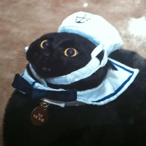 Стикер Зверьё — @stckrRobot - 5