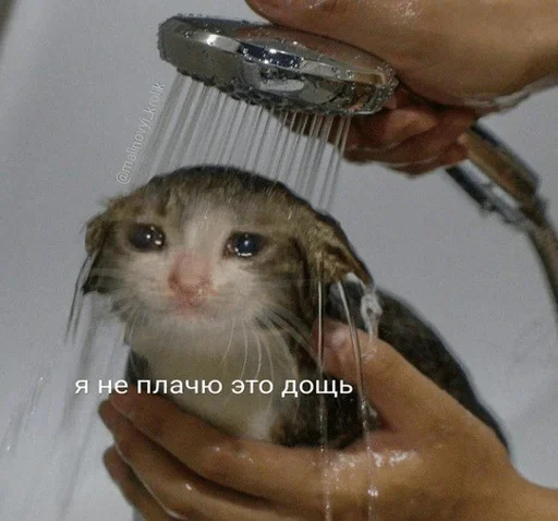 Стикер Зверьё — @stckrRobot - 0