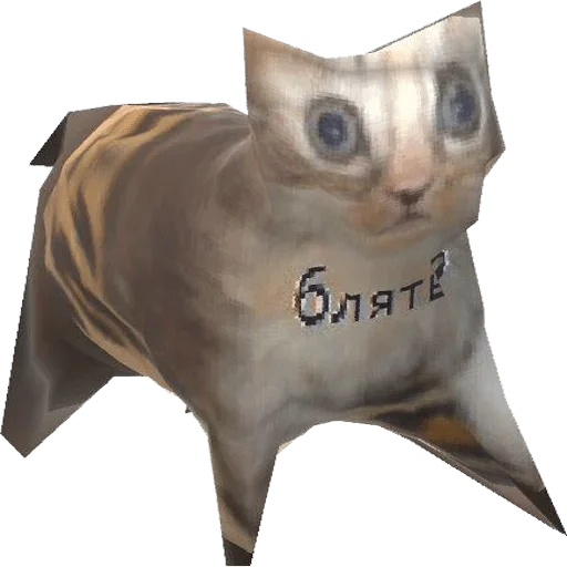 domestic cat animal small to medium-sized cats