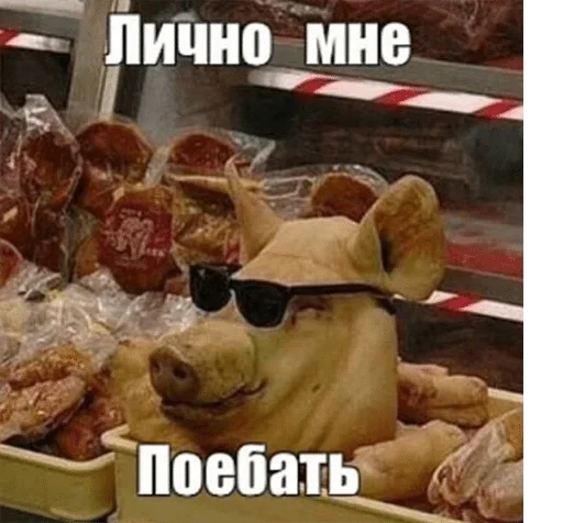 СМС закуска фаст-фуд