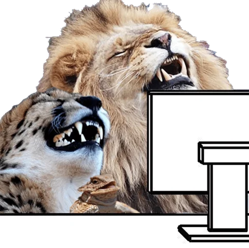 животное млекопитающее лев