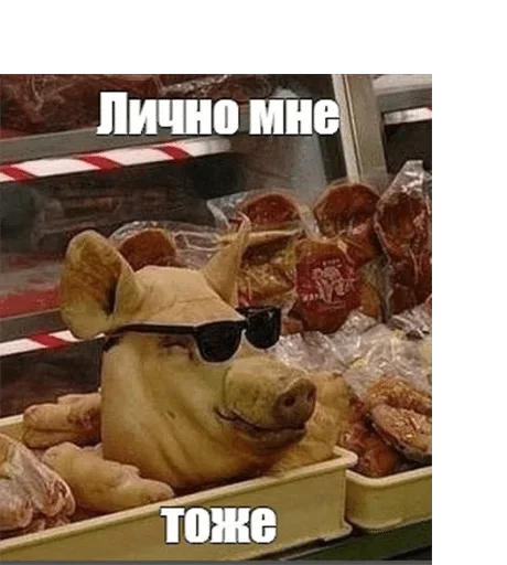 СМС фаст-фуд пища