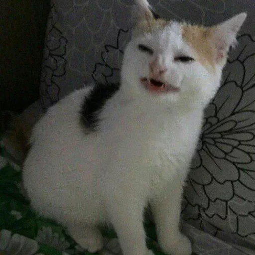 Стикер Твои стикеры — @stckrRobot - 4