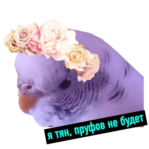 роза СМС лепесток