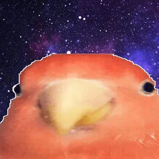 astronomy space universe