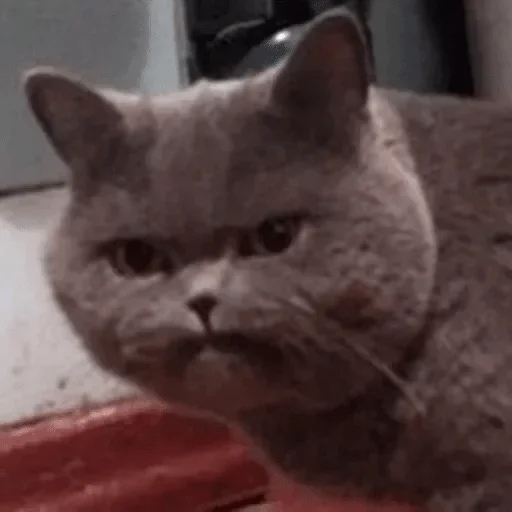 Стикер Стики от гло — @stckrRobot - 6