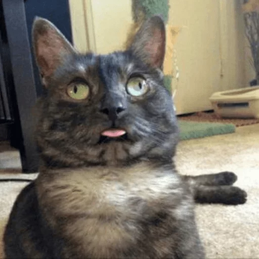 Стикер Твои стикеры — @stckrRobot - 7