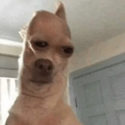 Стикер Твои стикеры — @stckrRobot - 1