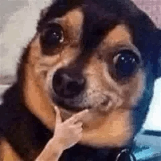 Стикер rllly? — @stckrRobot - 0