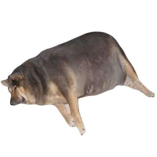 Стикер Твои стикеры — @stckrRobot - 2