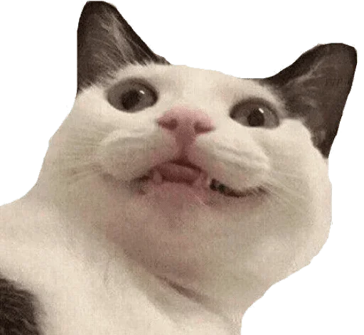 Стикер Владямба🤙 StickerPack @vladyamba666 — @stckrRobot - 11