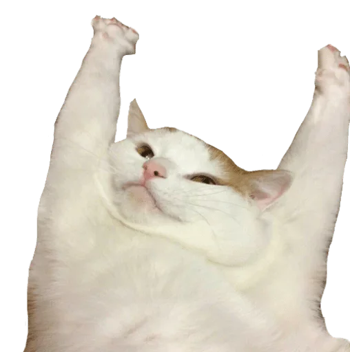 Стикер Владямба🤙 StickerPack @vladyamba666 — @stckrRobot - 4