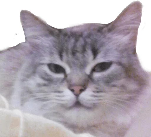 Стикер 0412 — @stckrRobot - 1