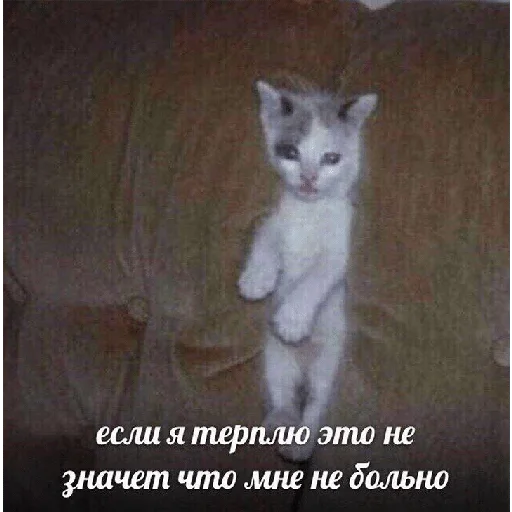 Стикер jltv — @stckrRobot - 3