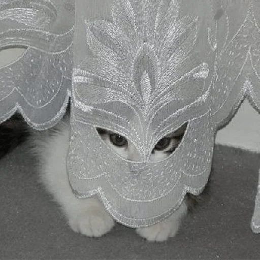 Стикер jltv — @stckrRobot - 0