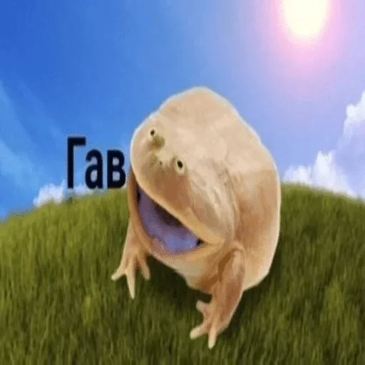 трава небо на открытом воздухе