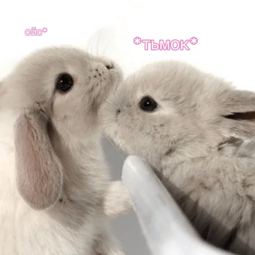 Стикер LLlaJIocTb — @stckrRobot - 6