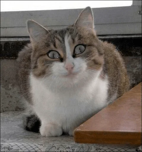 Sticker МЯТНЫЙ СРАТЬ В ПОДЪЕЗДЕ СКРЫТНО УЛЬТИМАТИВНЫЙ СТИКЕРПАК @ssh_glv - 9