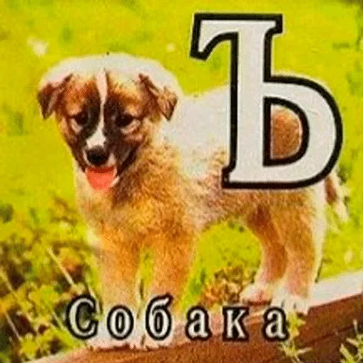 Sticker МЯТНЫЙ СРАТЬ В ПОДЪЕЗДЕ СКРЫТНО УЛЬТИМАТИВНЫЙ СТИКЕРПАК @ssh_glv - 8